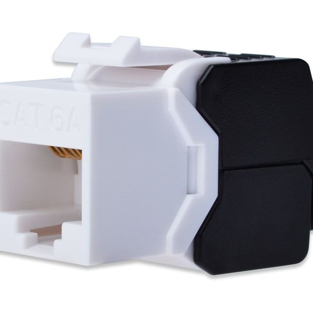 Digitus CAT6A Keystone Jack Zırhsız (Siyah Beyaz)