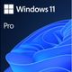 Windows 11 Pro İngilizce Oem (64 Bit) FQC-10528 — görsel 2
