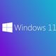 Windows 11 Pro İngilizce Oem (64 Bit) FQC-10528 — görsel 3